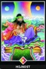 výklad karet - osho zen tarot - Hojnost